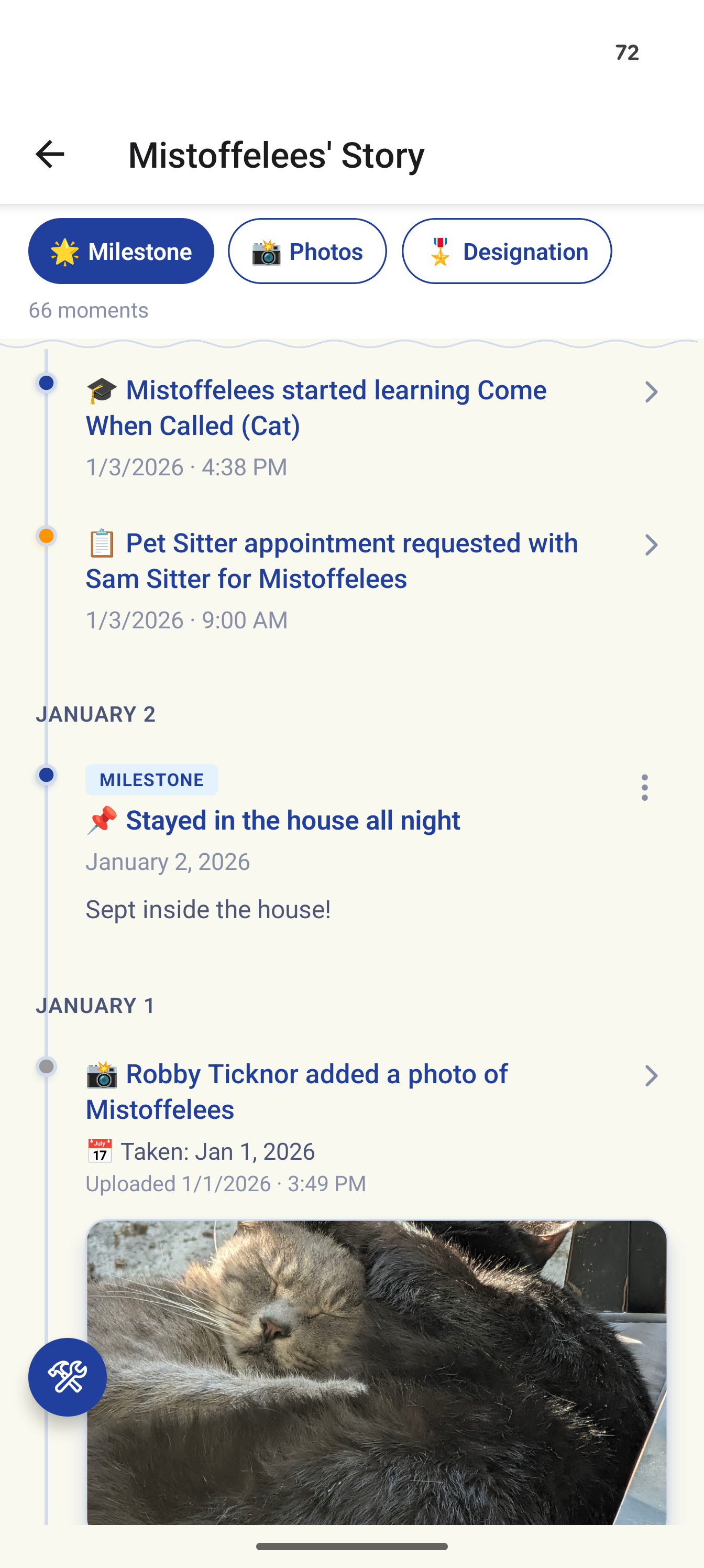 Mistoffelees' milestones in Trovvy tracking his journey to becoming an indoor cat